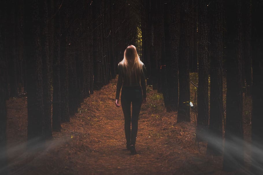 person walking towards trees, woman walking surrounded by trees HD wallpaper