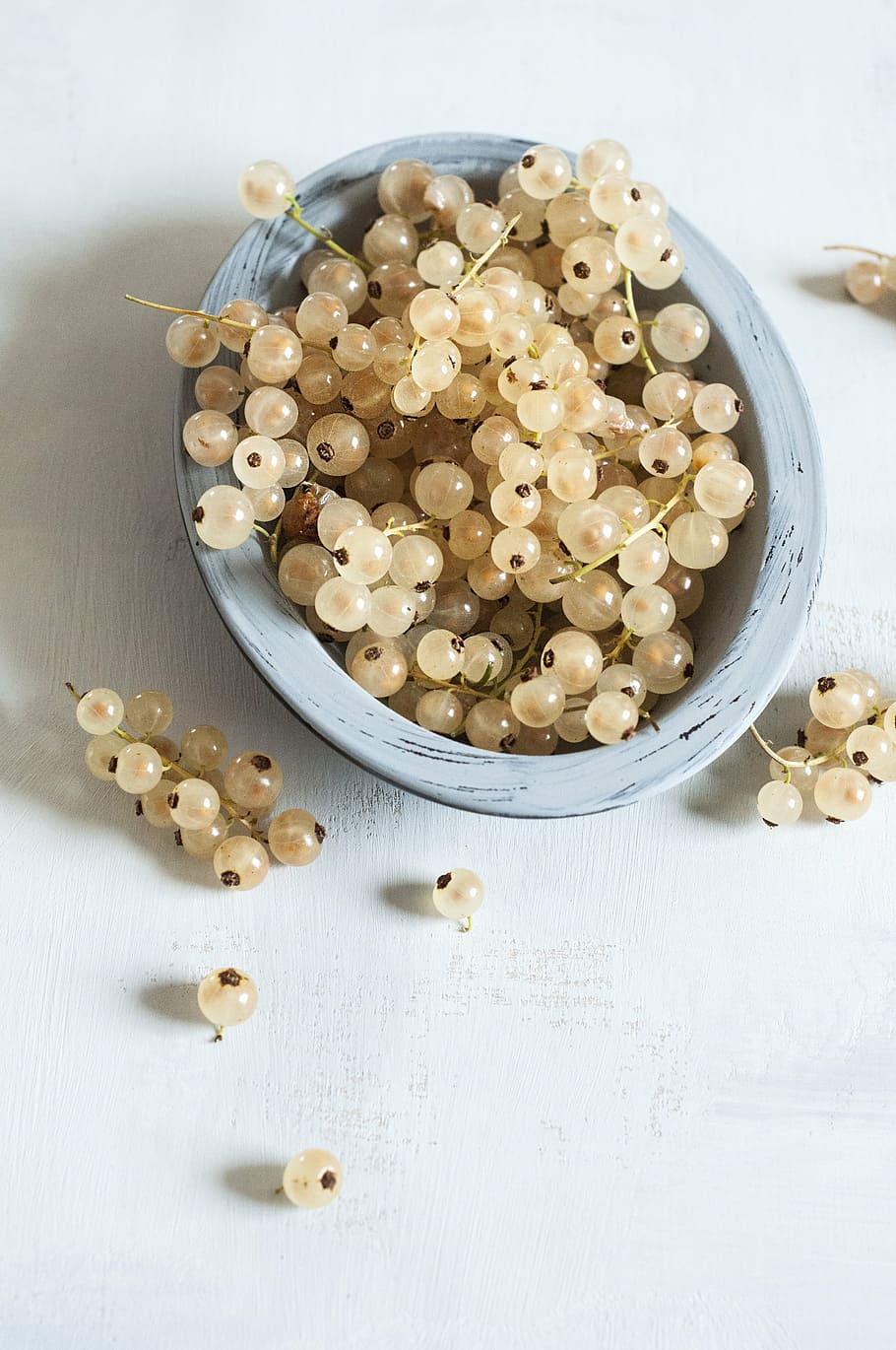 white currants, fruit, natural, fresh, garden, summer, bush HD wallpaper