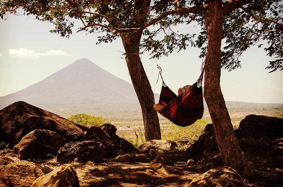 person lying on brown hammock in between two trees during daytime HD wallpaper