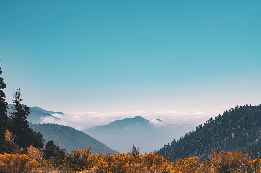 Mountain Covering Clouds, daylight, environment, fog, foggy, forest HD wallpaper