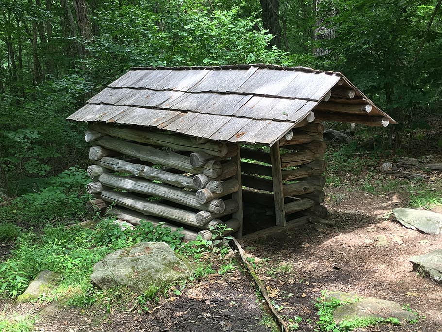 cabin, landscape, cottage, rustic, outdoors, forest, abandoned HD wallpaper