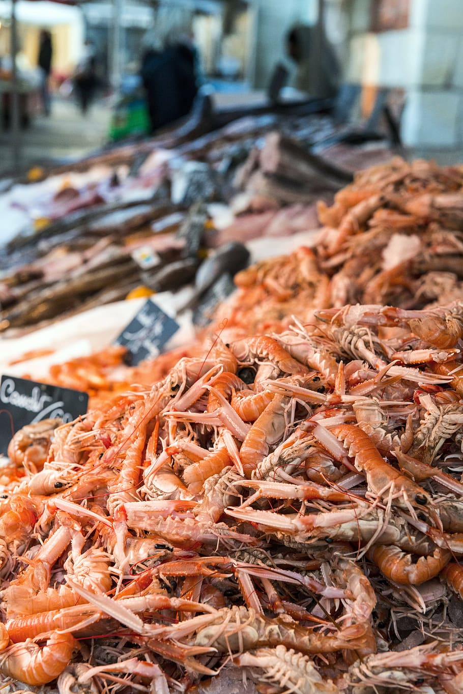prawns, sea, ocean, fish, food, food and drink, market, seafood HD wallpaper