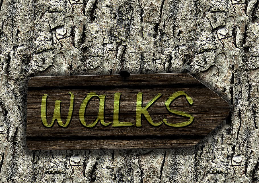 tree, bark, shield, board, directory, trail, walken, go, go for a walk HD wallpaper