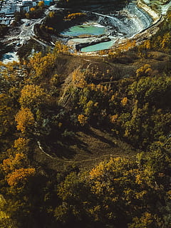 Fall from 300ft above, aerial photography of lake and trees during daytime HD wallpaper