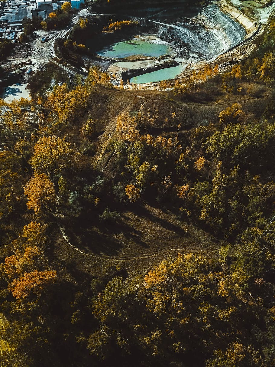 Fall from 300ft above, aerial photography of lake and trees during daytime