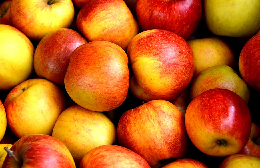 close-up photo of bunch of apples, fruit, fruits, delicious HD wallpaper