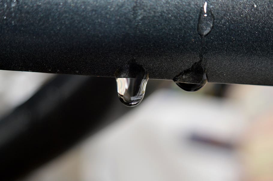 rain, drip, water, wet, macro, close-up, drop, no people, focus on foreground HD wallpaper