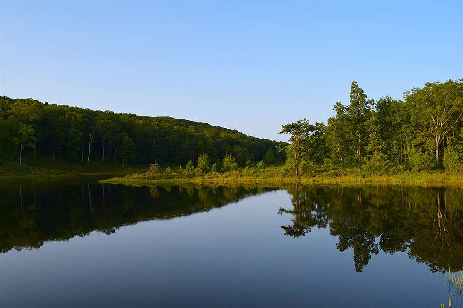 lake, reflection, park, trees, blue, water, nature, landscape HD wallpaper