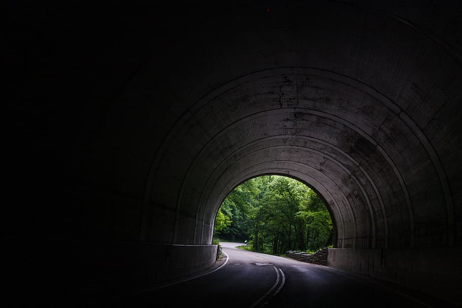 tunnel near trees at daytime, empty gray concrete road tunnel near trees at daytime HD wallpaper