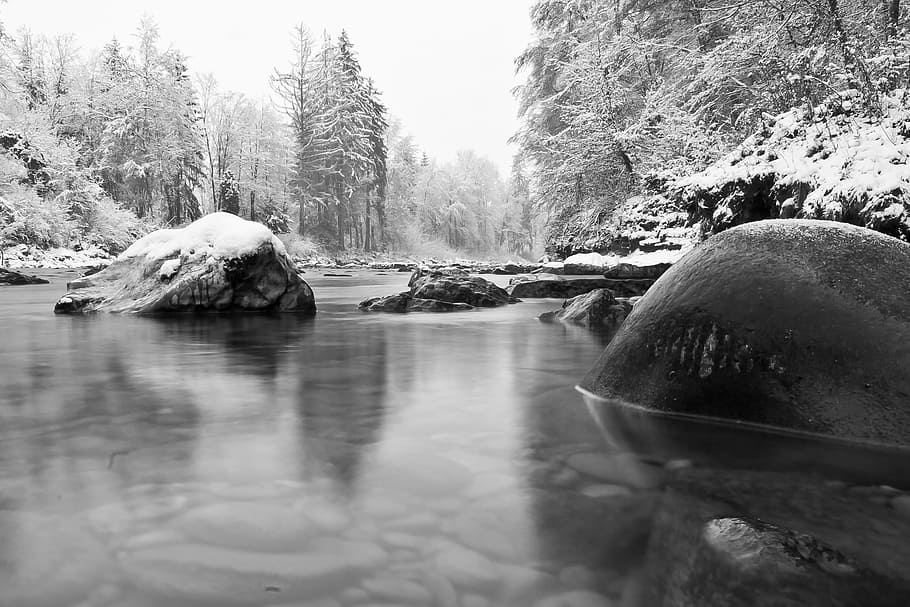 wintry, river, water stone, snow, cold, winter, nature, trees HD wallpaper