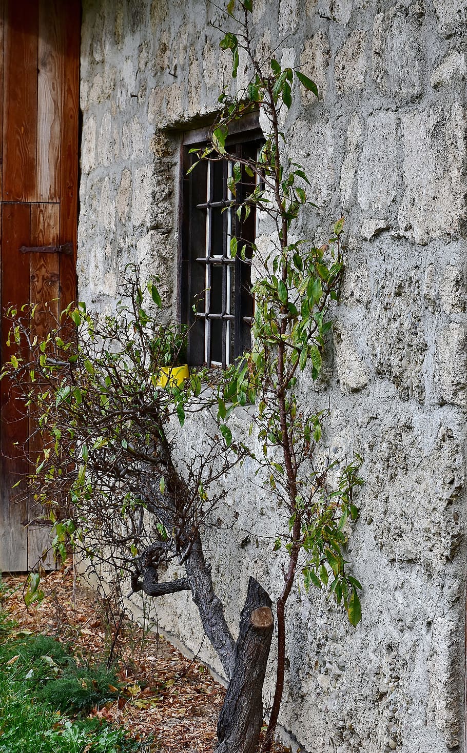 facade, old, romantic, weathered, wall, architecture, window HD wallpaper
