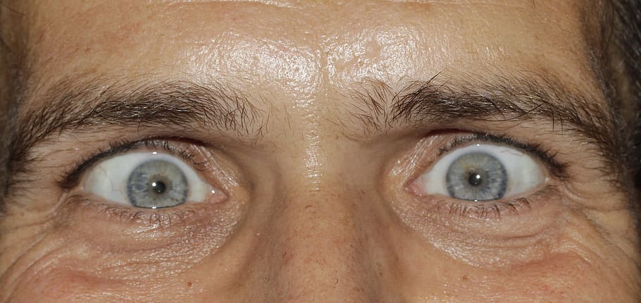 human eye, eyes, see, squint, iris, pupils, eyelashes, eyebrows HD wallpaper