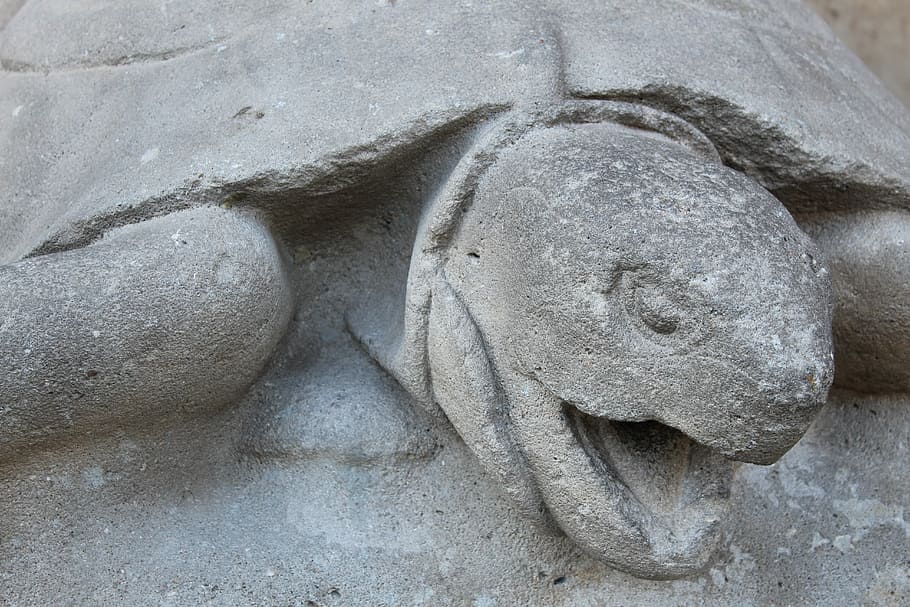 turtle, sculpture, artwork, gaudi, sacred family, art and craft HD wallpaper