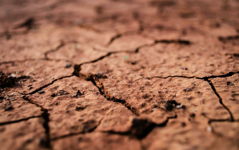 photo of brown dried soils, black, ground, cracked, drought, dry, HD wallpaper