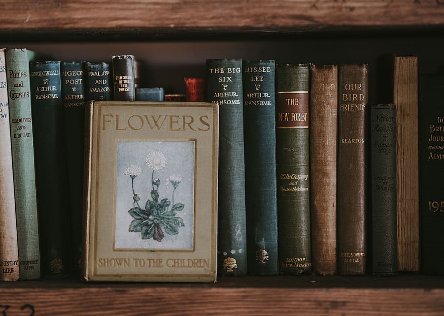 Flowers Shown to the Children book on shelf, assorted-title book lot in bookcase HD wallpaper