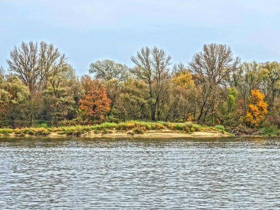 vistula, bydgoszcz, river, poland, water, nature, landscape