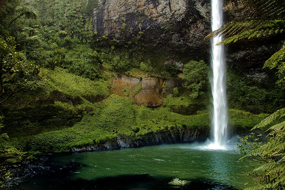 waterfalls beside green trees, bridal veil fall, new zealand, HD wallpaper