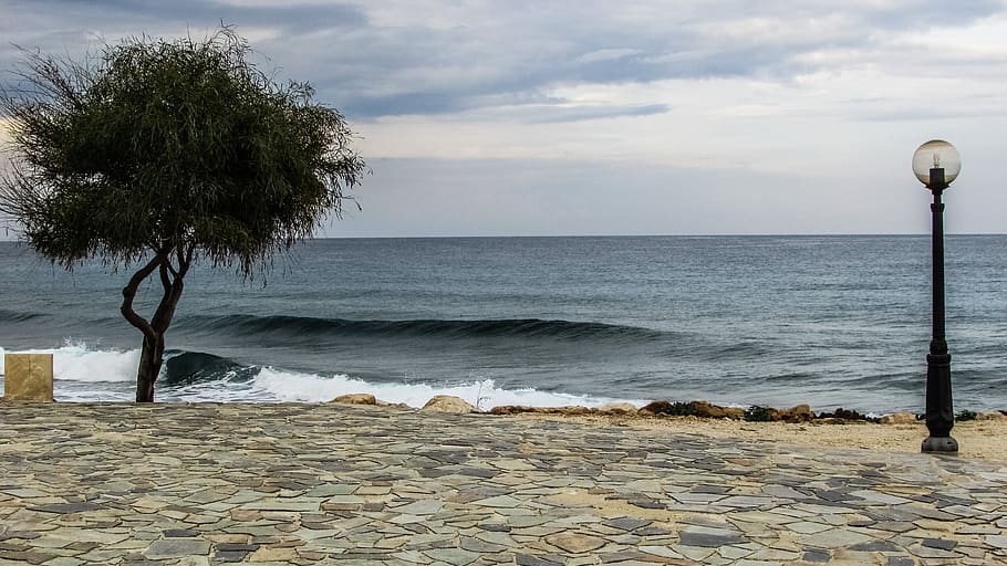cyprus, protaras, tree, waves, romantic, water, sea, sky, scenics - nature HD wallpaper
