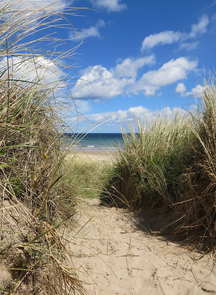 dunes, northumberland, sea, coast, england, beach, uk, coastline, HD wallpaper