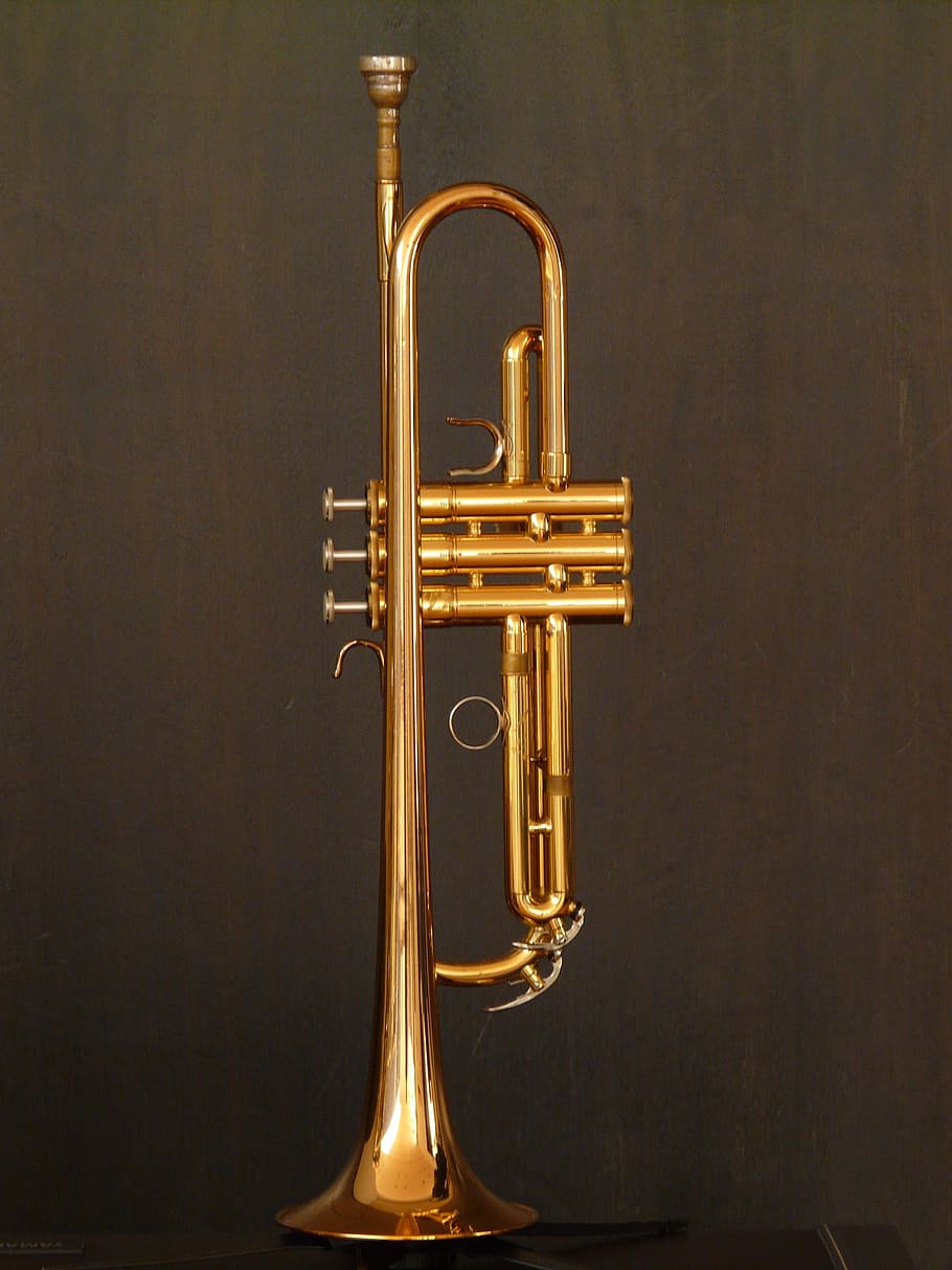 brass trumpet, brass instrument, pump valves, gloss, gold, play