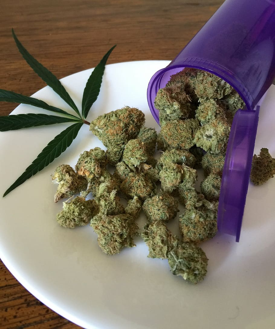 Marijuana buds, cannabis, weed, drug, hemp, medicine, plant, medical, HD wallpaper