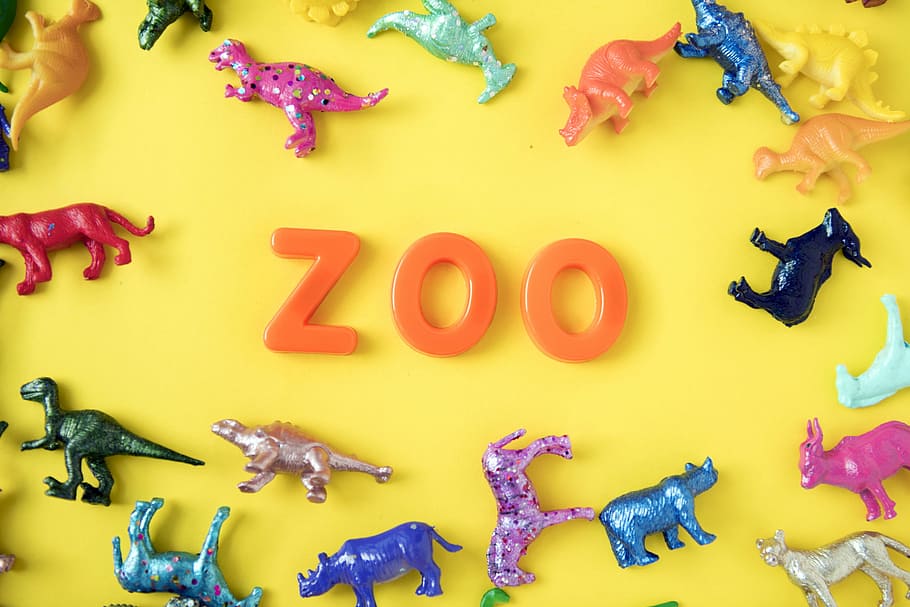 assorted-color animal figurine collection, zoo, typography HD wallpaper