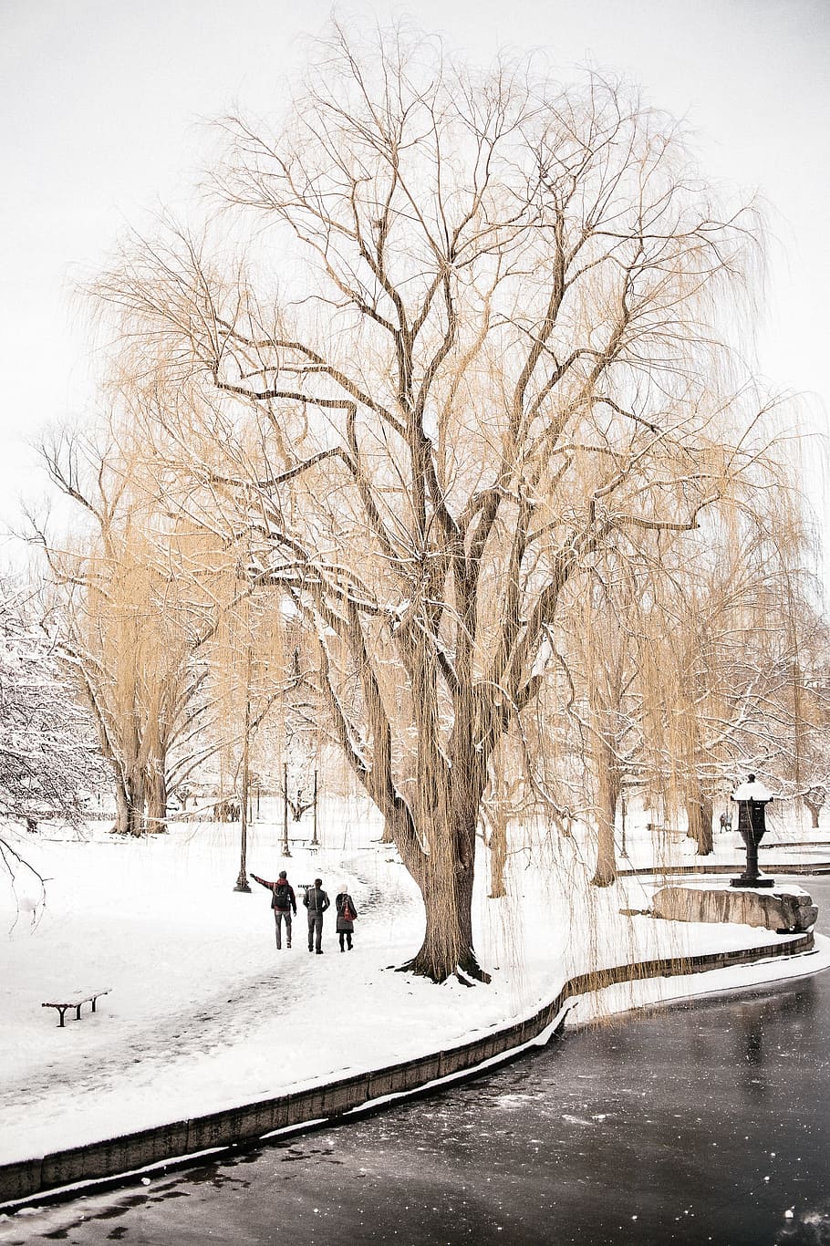 trees, bench, snow, winter, bulb, pole, street, road, people HD wallpaper