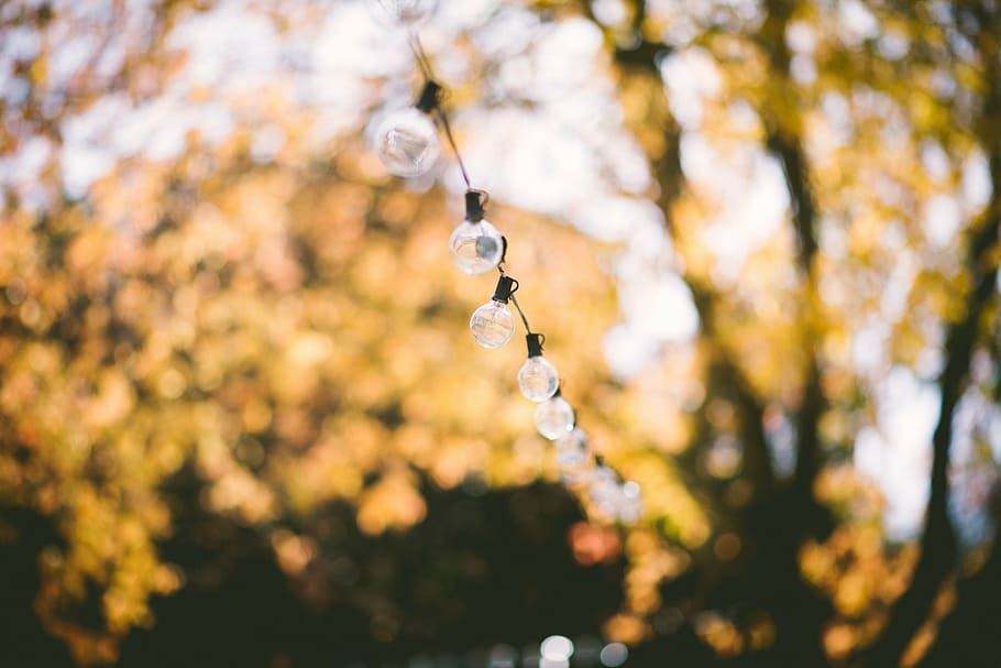 selective focus photography of string lights, depth of field HD wallpaper