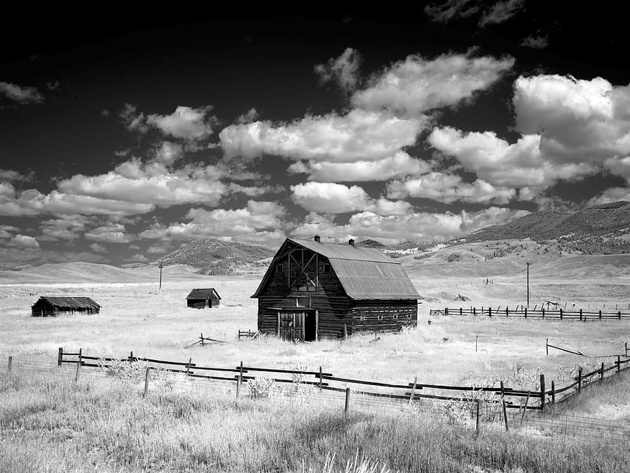 grayscale photography of barn surrounded by wooden fence during daytime, HD wallpaper