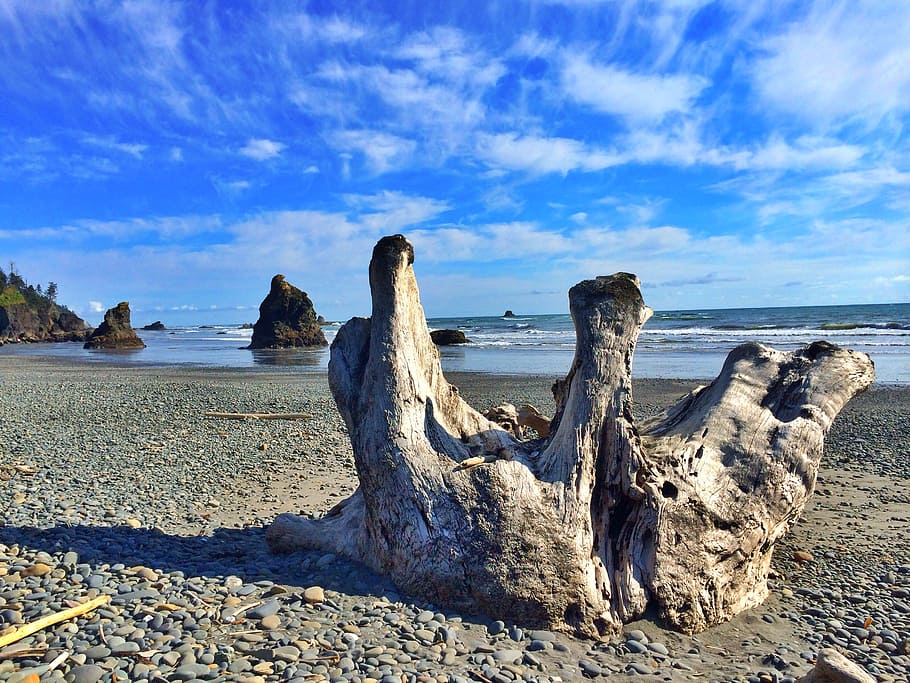 logs, water, beach, rocks, washington, tranquil, blue, wood HD wallpaper