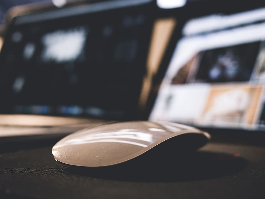mouse, computer, technology, business, focus on foreground HD wallpaper