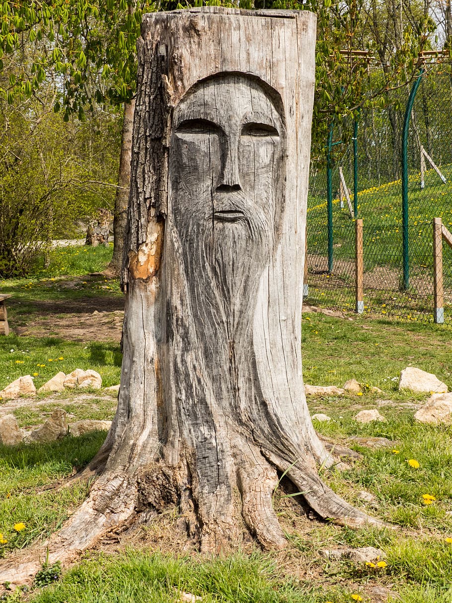 tree stump, face, wood, sculpture, plant, no people, craft HD wallpaper