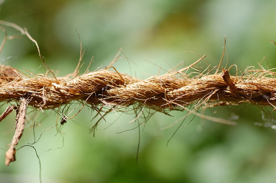 rope, nature, dew, close-up, focus on foreground, day, no people HD wallpaper