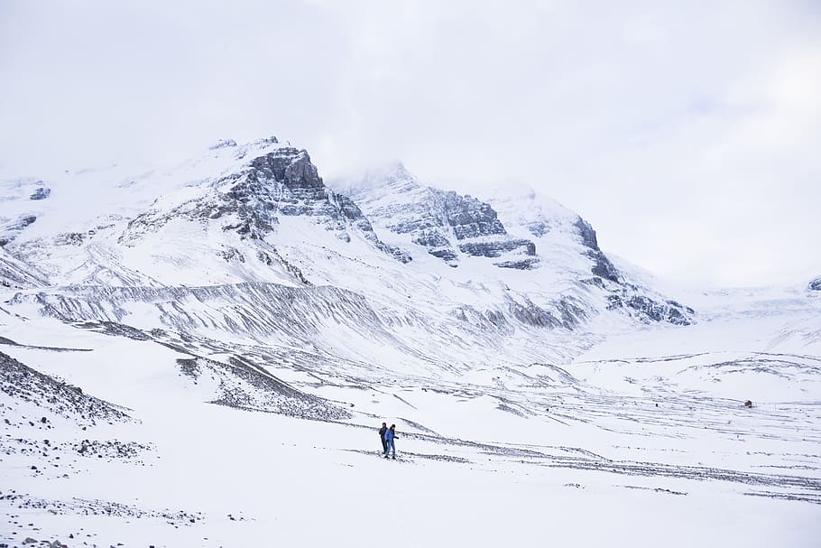 two person walking on snow covered ground next to mountains, black mountains covered by snow under white sky at daytime HD wallpaper