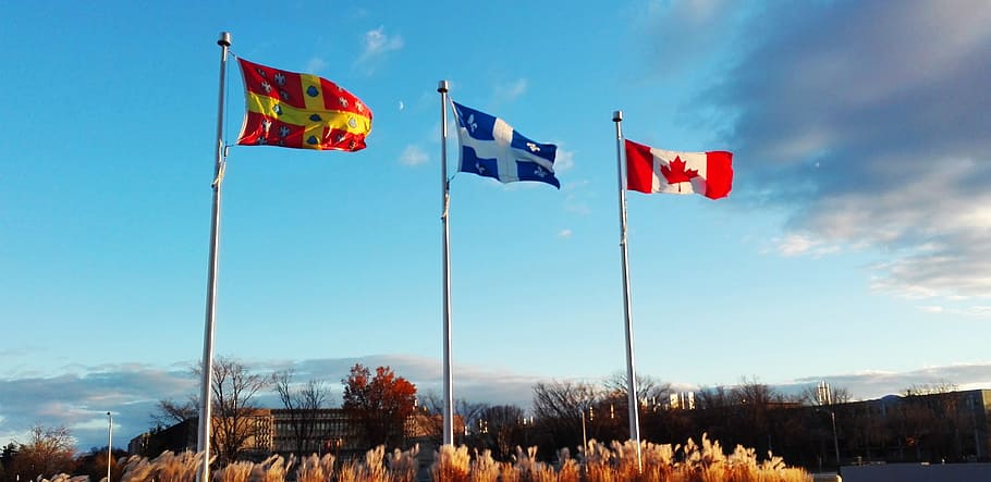 Flag, Canada, Québec, Leaf, Background, maple, country, red HD wallpaper