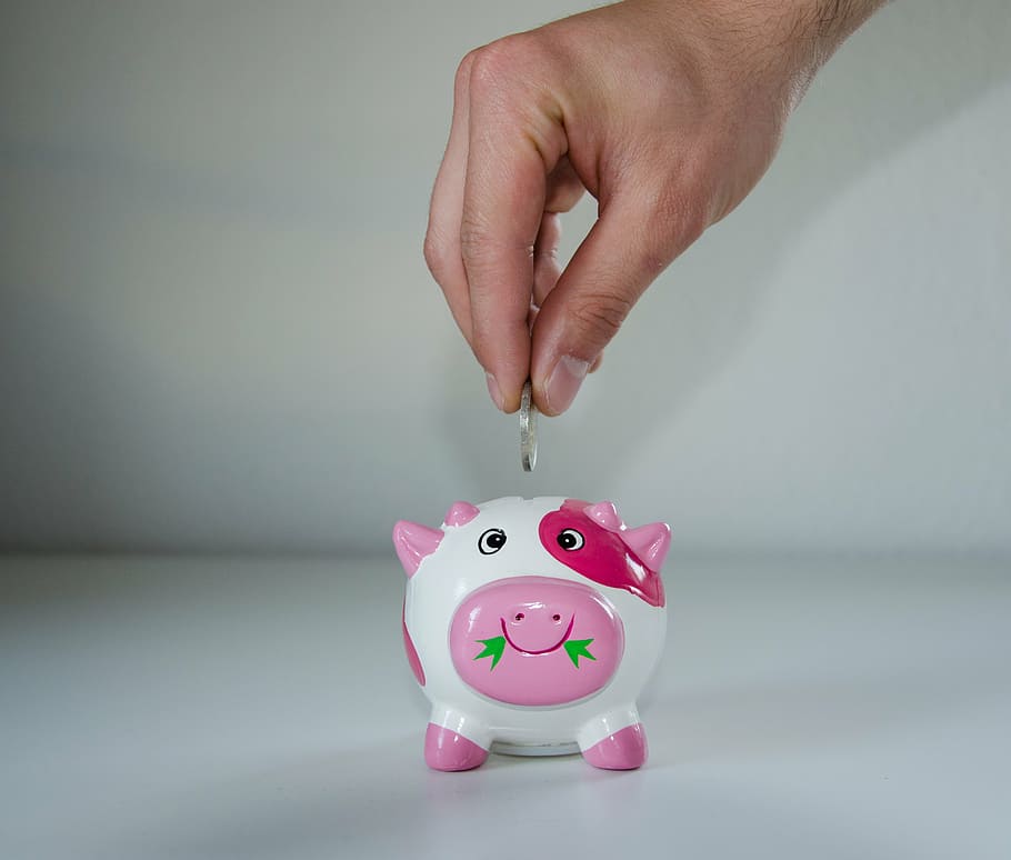 person putting coin on white, pink, and red piggy bank, save
