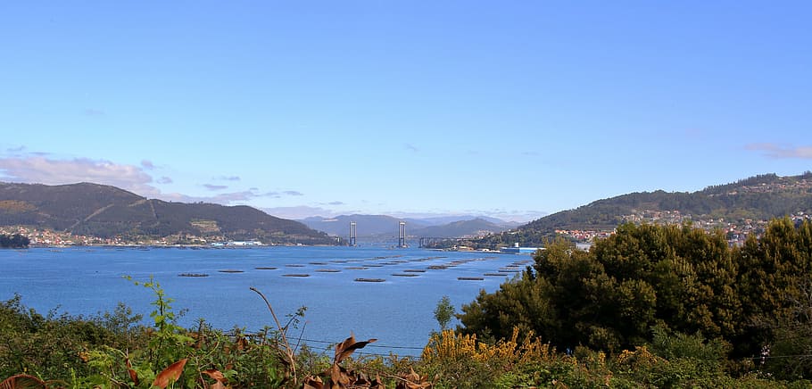 ria de vigo, vao, bateas, galicia, spain, water, mountain, scenics - nature