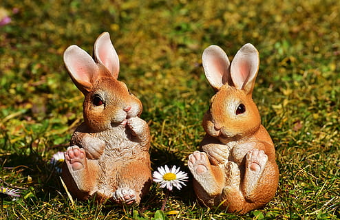 two squirrel figurines on grass field, easter, happy easter HD wallpaper