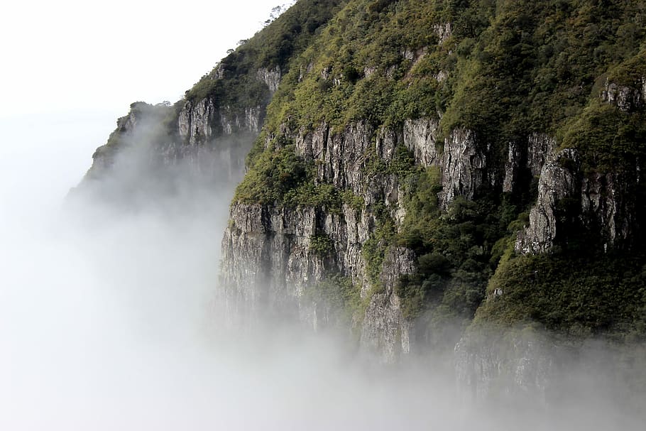 grass mountain with fogs during daytime, trees, waterfall, nature HD wallpaper