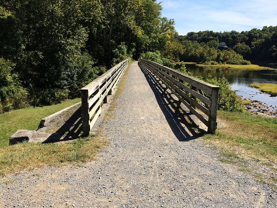 path, bike trail, c o canal path, plant, tree, direction, the way forward HD wallpaper