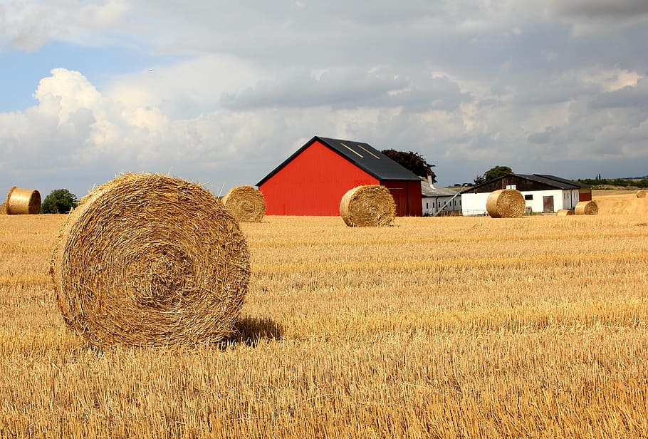straw, go, field, halmbal, barn, harvest, hay, bale, farm, rural scene HD wallpaper
