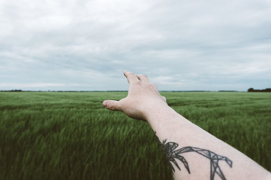 green, grass, farm, field, crops, agriculture, outdoor, clouds HD wallpaper