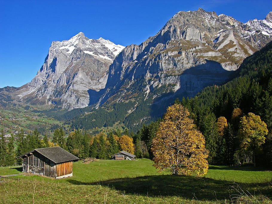 landscape, nature, vacation, trees, adventure, alpine, autumn, HD wallpaper