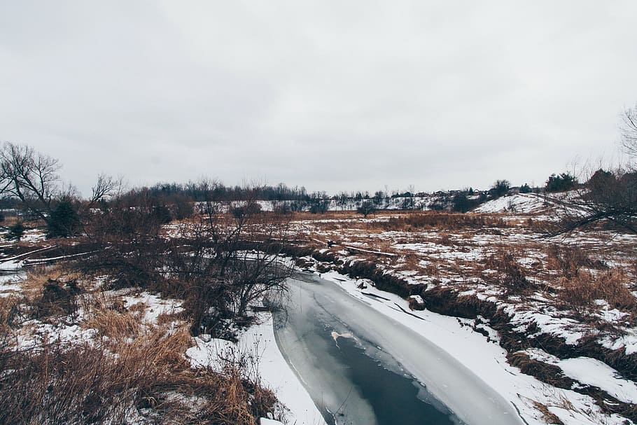 gray road covered of snow, nature, landscape, winter, weather HD wallpaper