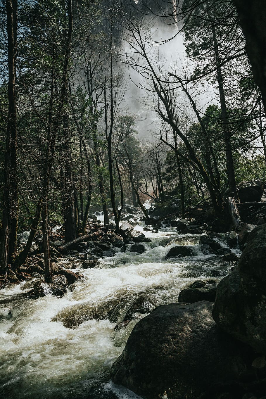 water waves on stones in middle of trees, green trees and river under stormy sky HD wallpaper