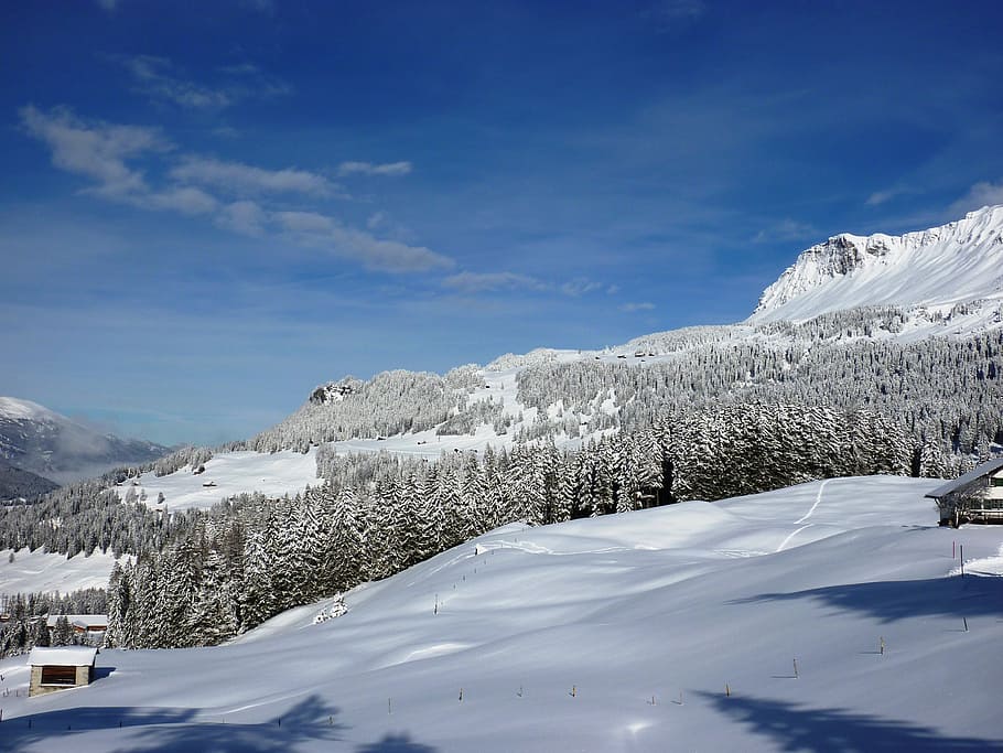 winter, snow, wintry, cold, landscape, snowy, winter cold, switzerland HD wallpaper