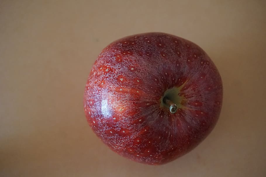 apple, fruit, power, red, meals, red apple, healthy eating HD wallpaper