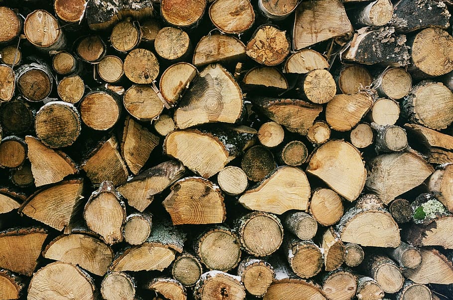 selective focus photography of wood log, brown firewood cord HD wallpaper