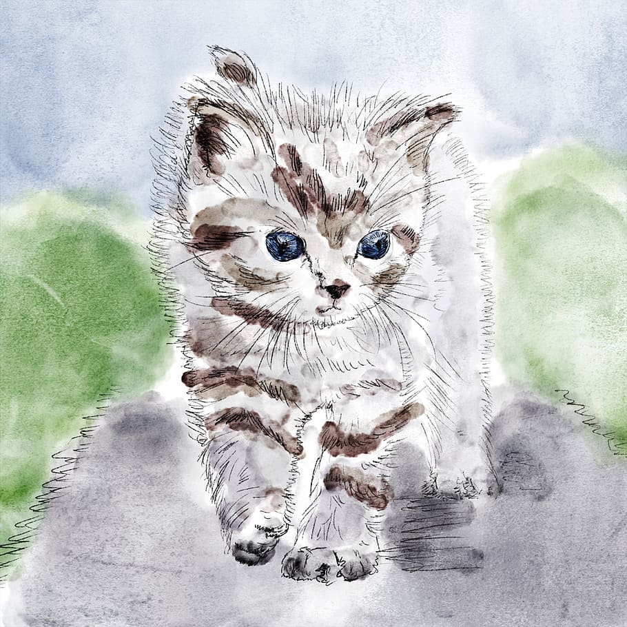 sketch of white and brown cat, kitten, drawing, chick, grey HD wallpaper