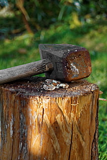 nut, walnut, crack, food, nutshells, breaking up, nutcracker HD wallpaper